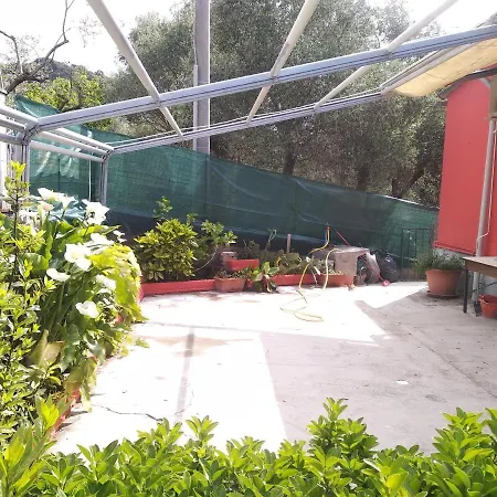 בית הארחה Casa Shanty